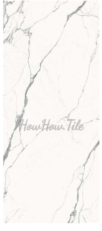 瑰麗大理石素磚立體花磚 60X120 GY6615-8319