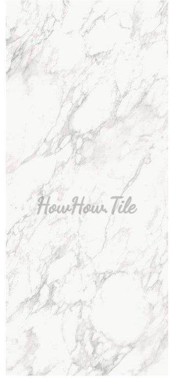 瑰麗大理石素磚立體花磚 60X120 GY6615-8319