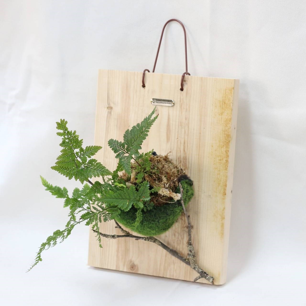 植物上板