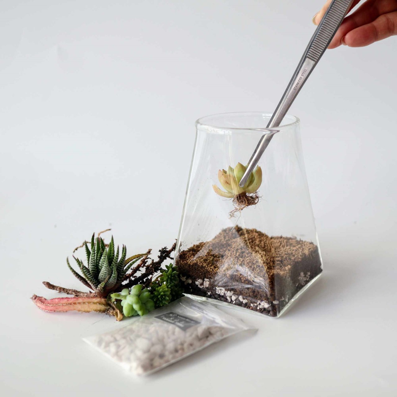 沙漠生態植物瓶/DIY材料包