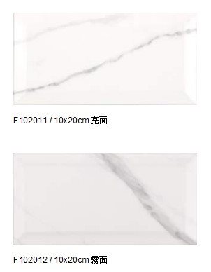 西班牙進口FABRESA 銀狐鐵道磚（10*20cm)DC